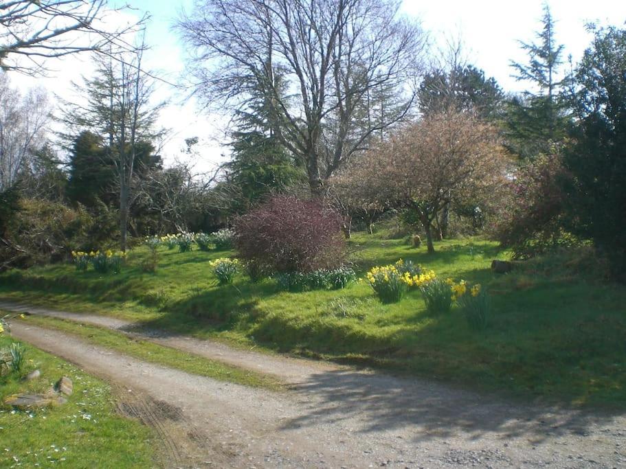 Innisfreedom Cabin Sligo Eksteriør bilde